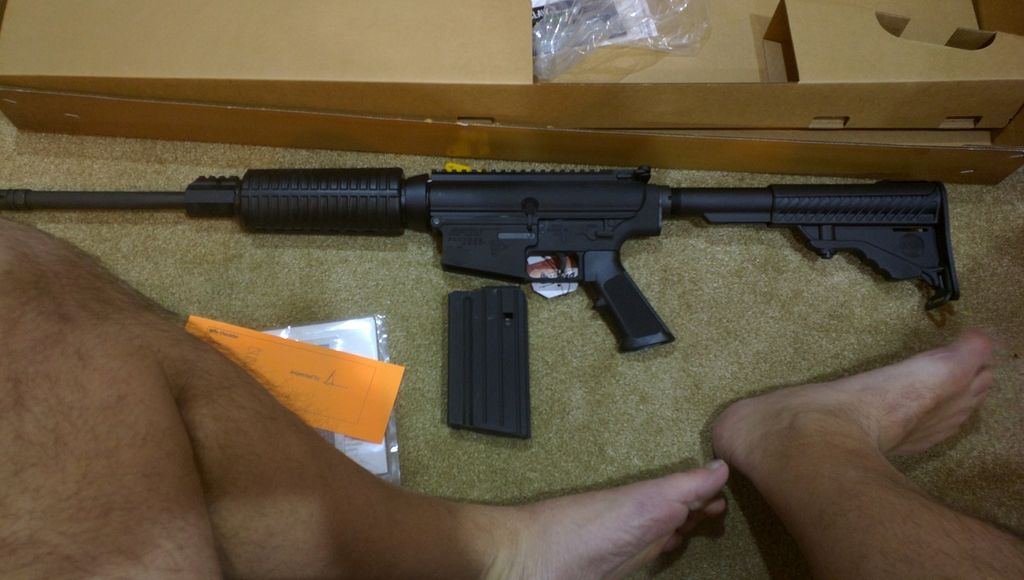 Alexandria PROFAB (APF) 308 AR mini review